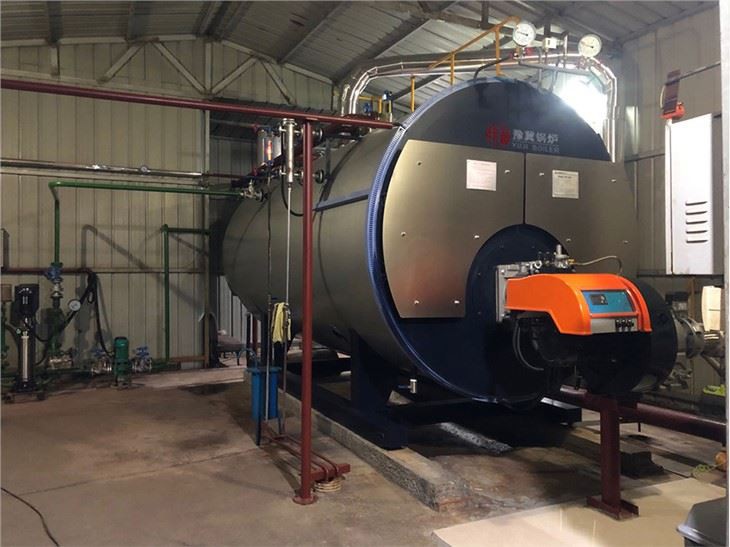 Fuel Oil Gas Industrial Steam Boiler